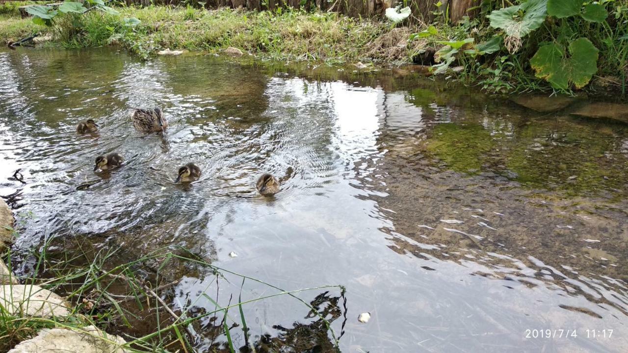 Готель Plitvice Streaming Prijeboj Екстер'єр фото